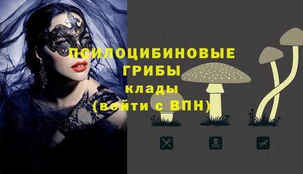 герыч Алексин