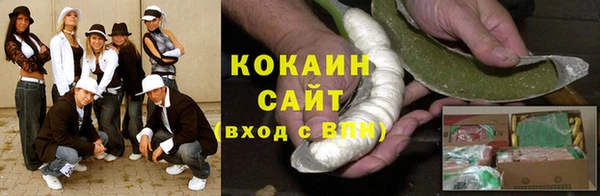 прущие грибы Абаза