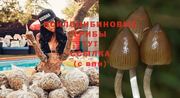 герыч Алексин