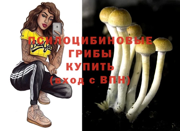 прущая мука Каменногорск
