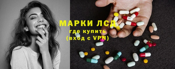 прущие грибы Абаза