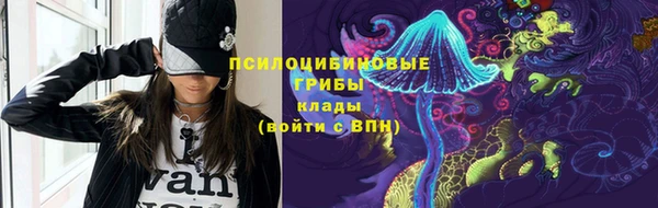 прущие грибы Абаза