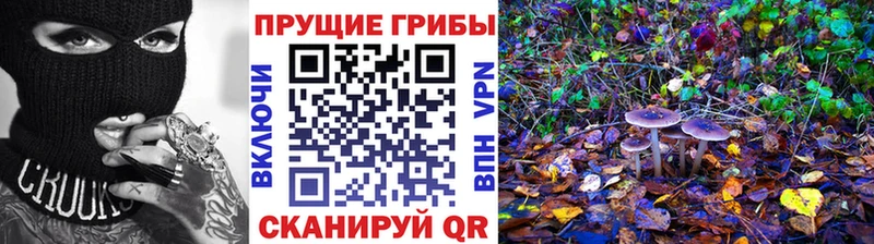 Псилоцибиновые грибы Magic Shrooms  OMG ссылки  Ипатово 