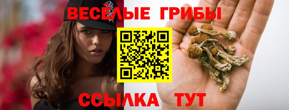 Псилоцибиновые грибы GOLDEN TEACHER  Вход с VPN  Ипатово  Галлюциногенные грибы прущие грибы 