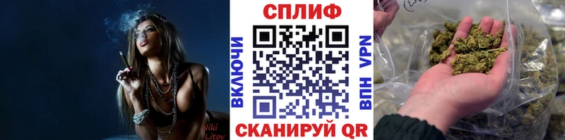Конопля MAZAR  как найти   Ипатово 
